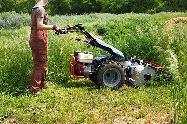 A farmer wearing sunhat, overalls, and gloves uses a BCS machine with a mowing attachment, to cut down a cover crop.