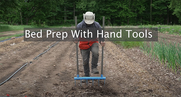 Farmer using broadfork to prepare the soil