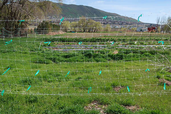Netting fence protecting a field behind it.