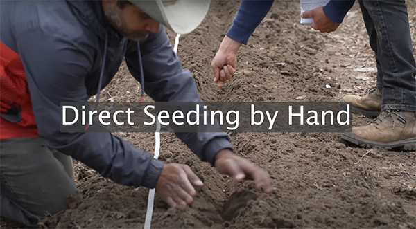 Farmers planting seeds by hand in the field