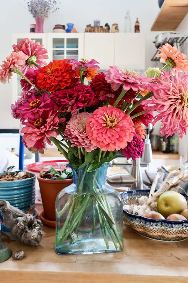A bouquet of zinnias arranged in a glass vase on a table.