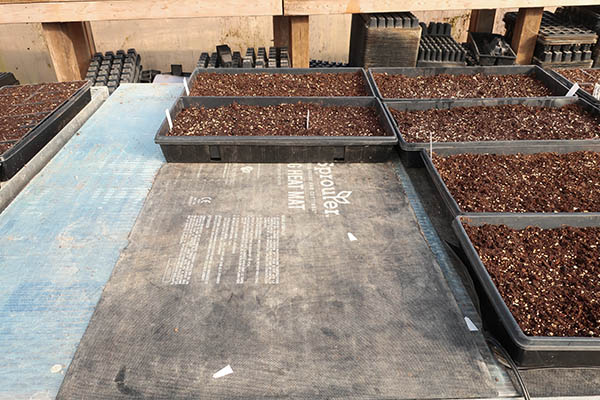Seedling trays sitting on top of a heat mat.