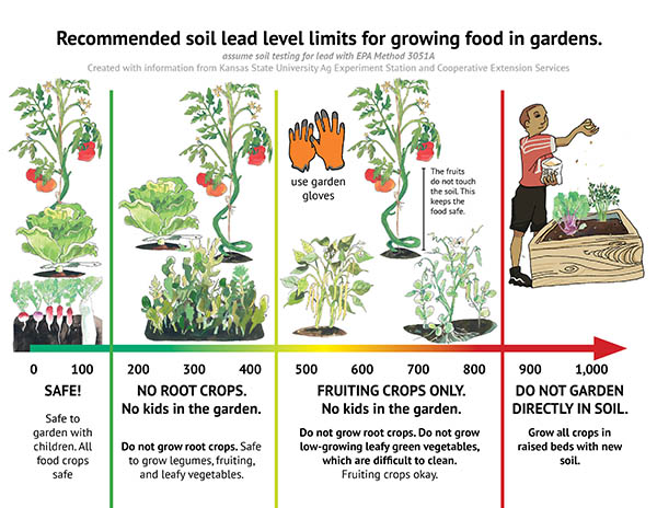 Infographic explains the soil lead level limits for different crops.