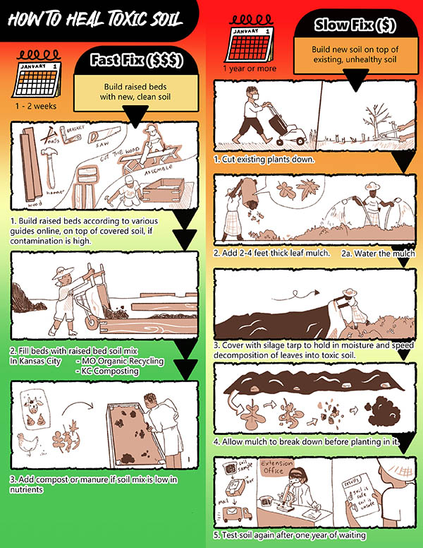 Infographic explains how to quickly and slowly heal toxic soil.