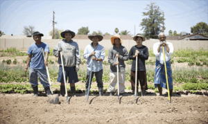 Preview image for Microproducer academy