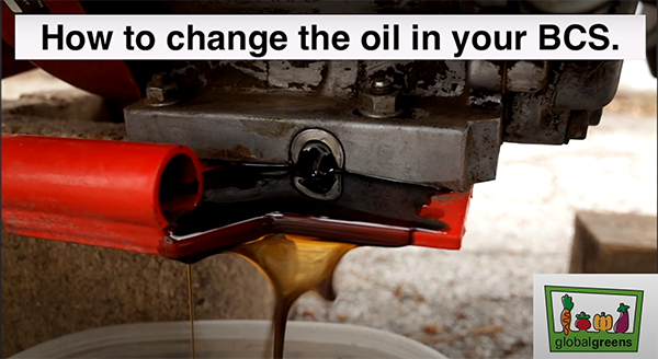 Close up of BCS oil change