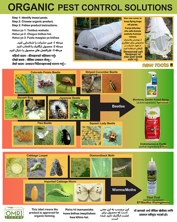 Poster with images of beetles, worms, and moth pests with arrows pointing to different types of organic pest control solutions