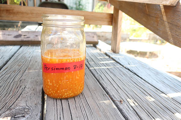 Jar of seeds and pulp