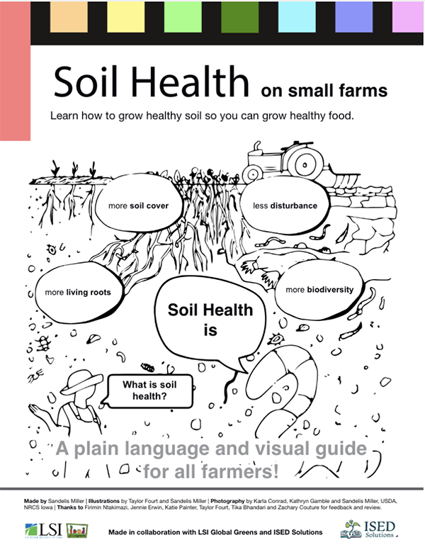 Illustration of soil health concepts on small farms, showing plants, roots, and biodiversity, with text about benefits like improved soil cover and living roots.
