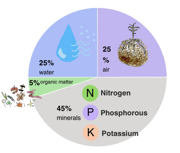 A color coated pie chart shows what makes healthy soil. 45% minerals, 25% water, 25% air, and 5% organic matter.