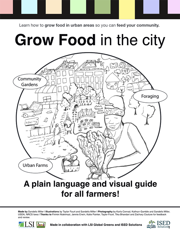 Illustration of urban farming concepts like, community gardens, foraging, and urban farms.