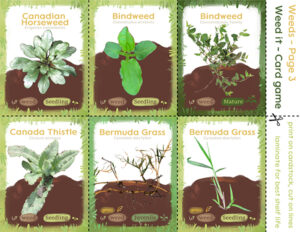 Preview image for weed it card game, with a page of cards.