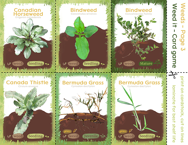 A page of cards for the Weed it game, featuring various weeds that can be found on farms and garden.