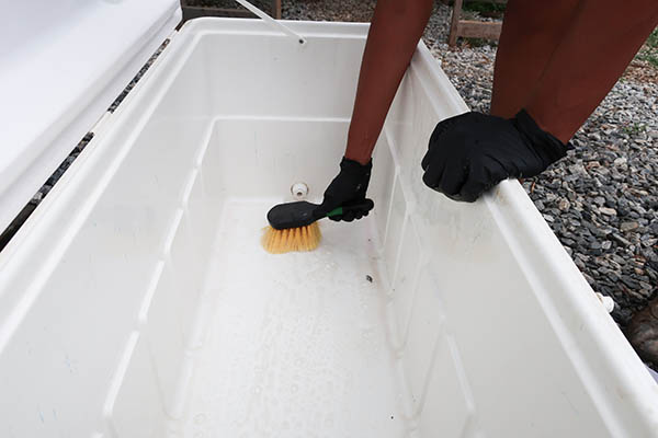Two gloved hands using a brush to scrub a cooler with soapy water.