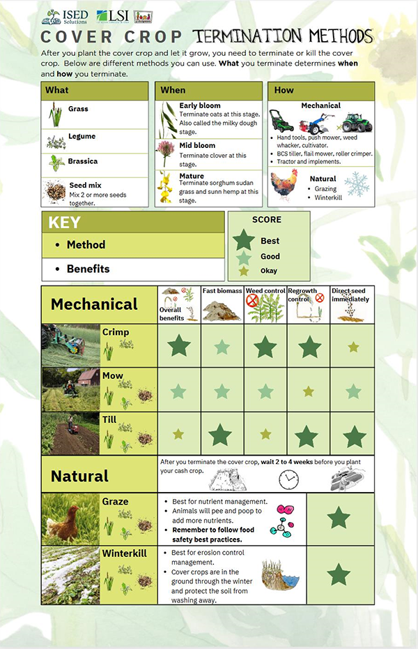 Poster that outlines cover crop termination methods and the benefits of different termination methods for different crops.