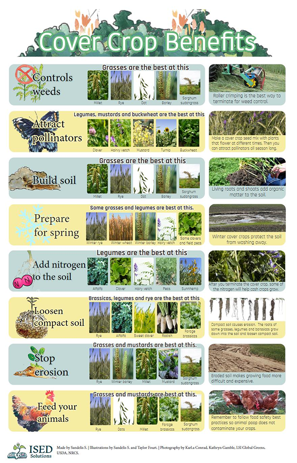Poster that shows the benefits of cover crops with examples of which cover crops are best for the desired benefit.