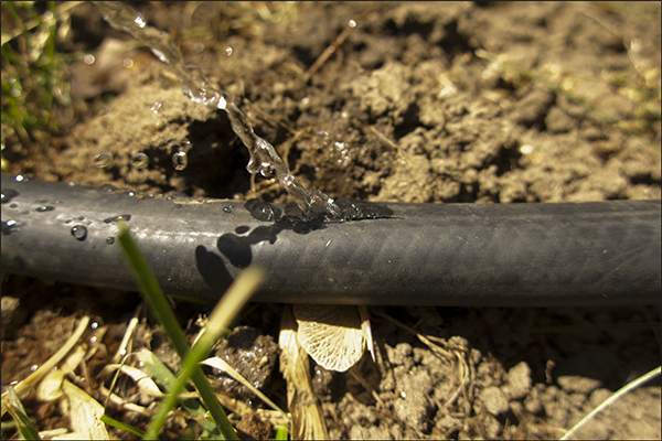 A leak in a garden hose spraying water into the air.
