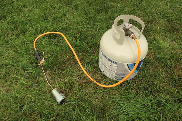 A flame weeding tool attatched to a propane tank.