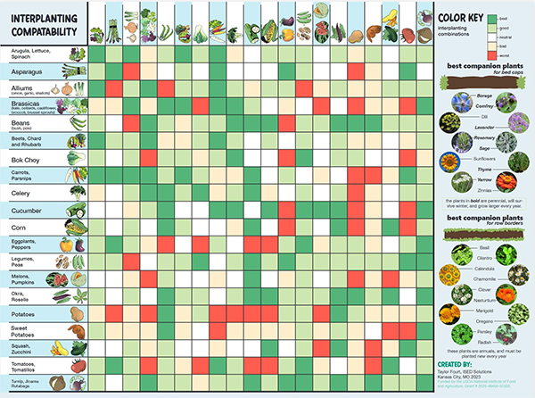 Poster with a color-coded grid representing compatibility of crops planted together.