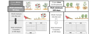 Preview image of manure use handout, which shows the amount of days to wait from placing manure onto plots.