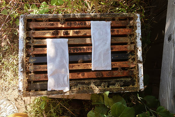 An open beehive with two formic acid strips (also known as Mite-Away Quick Strips) on top.