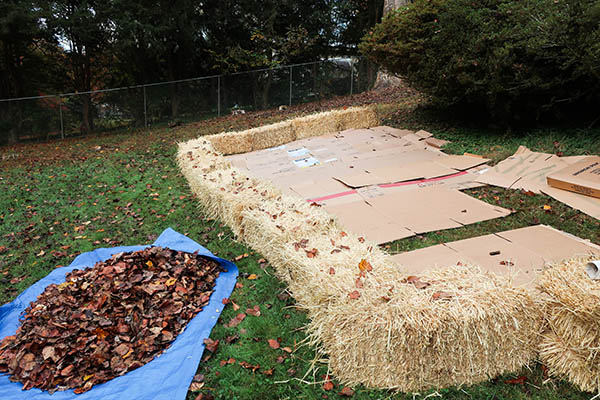 A no-till mulch garden in progress. Cardboard has been laid out over a lawn of grass, surrounded by bales of straw. To the left of the image is a pile of leaves on a blue tarp.