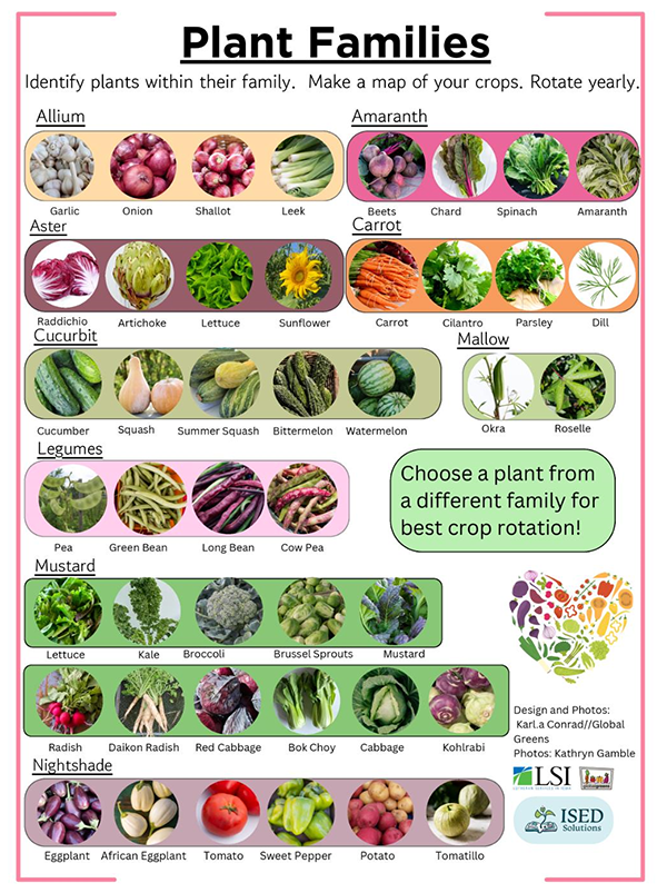 A grid of 9 plant families with correponding ethnic vegetables, including roselle, bitter melon, and african eggplant.