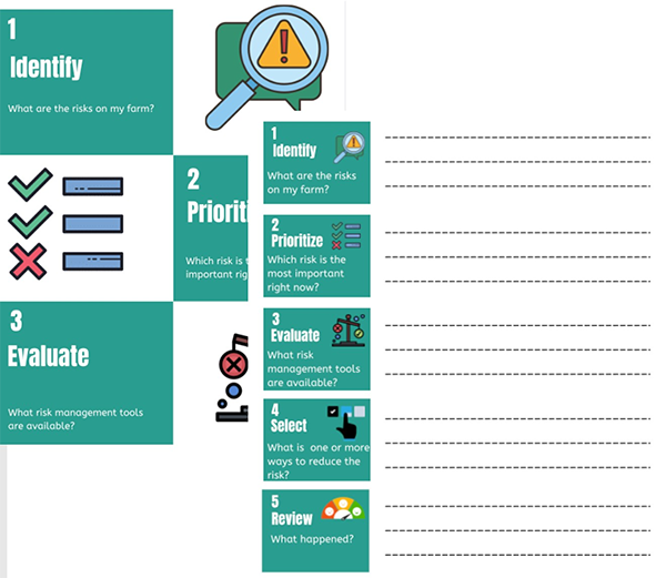 An infographic with 5 risk management concepts, identify, prioritize, evaluate, select, and review.