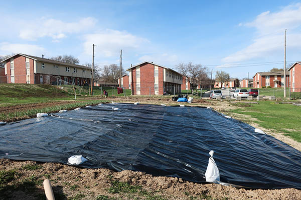 A field covered with a silage tarp, a large black plastic sheet that blocks out light and moisture.