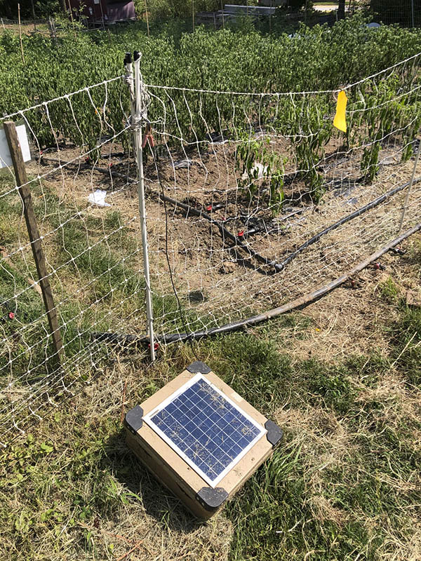 A solar energizer connected to a net electric fence. The fence surrounds fields of crops.