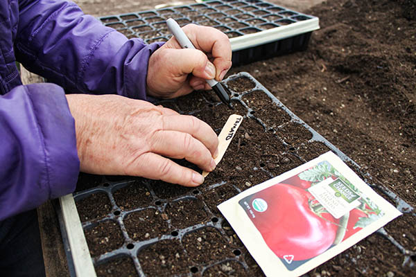 A farmer writing the word 