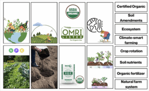 Preview image for the sustainable farm practices vocabulary cards.
