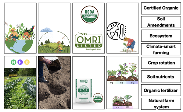 Sustainable farm practice images like ecosystem, crop rotation, and soil nutrients next to a column of matching vocabulary words.