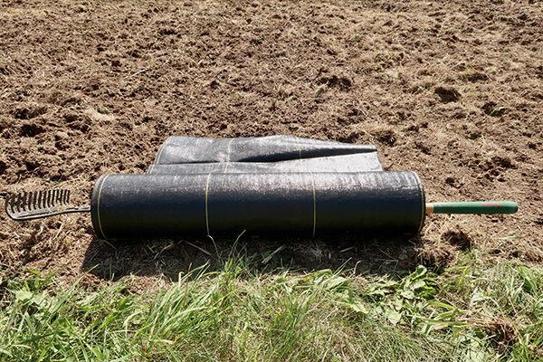 A roll of weed fabric with a rake in the center, laid out in front of a tilled field.