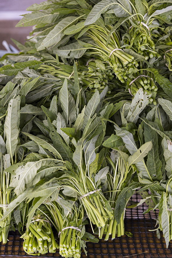 Bunches of lenga lenga (aka amaranth greens)  are sitting on a mesh drying table in a wash station.  The bunches are stacked and fill up the whole picture.
