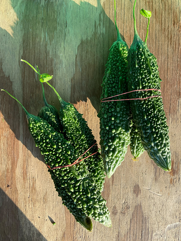 Bitter melon on a wood table