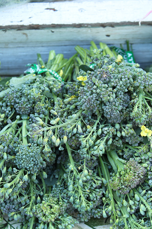 Broccoli Raab Bunches for sale at Farmers Market