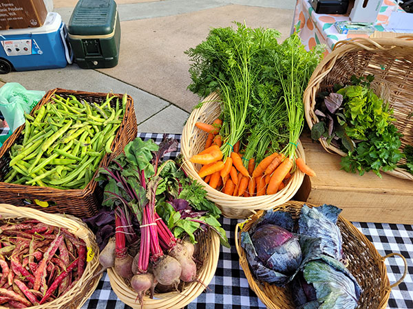 Closeup of a farmers' market table features baskets full of carrots, beets, cabbage, beans, and greens.