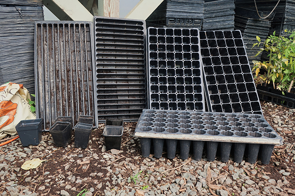 Greenhouse Trays