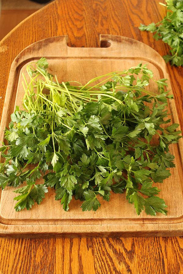 Italian Flat Leaf Parsely on a Cutting Board