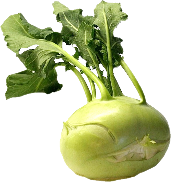 Green Kohlrabi