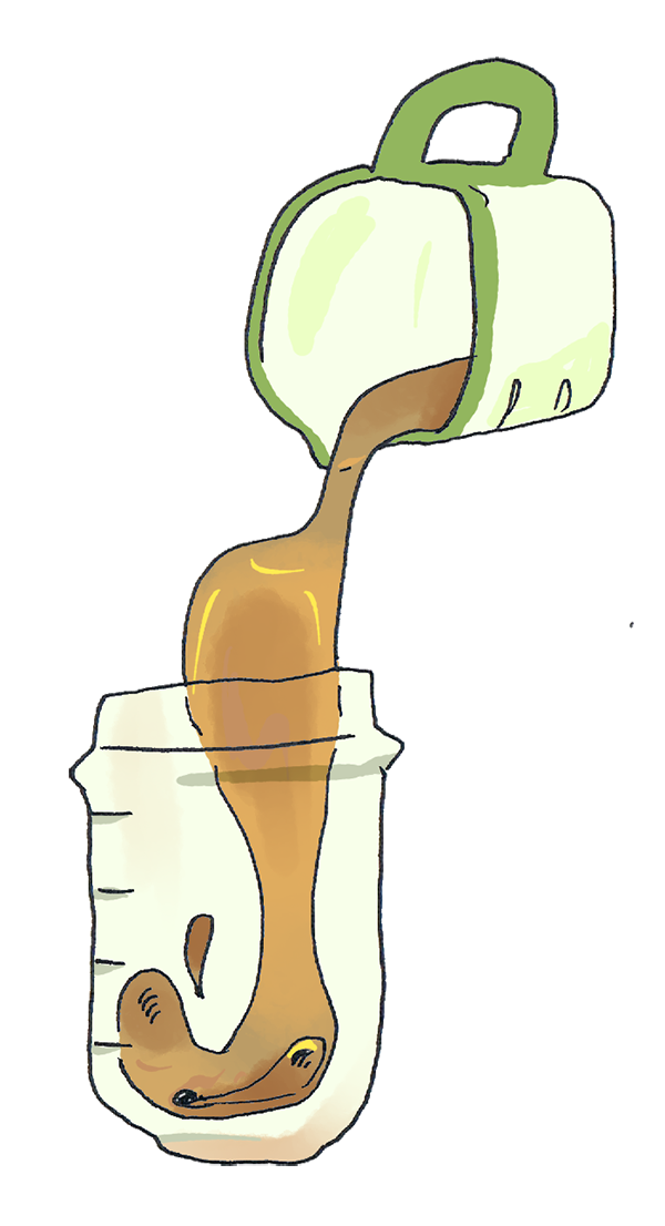 Digital graphic of a measuring cup pouring broth into a larger container. This graphic was designed for English Language Learners to improve their vocabulary understanding in the kitchen.