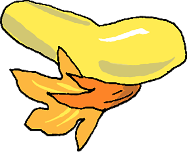 Small digital graphic of a yellow summer squash and a squash blossom.