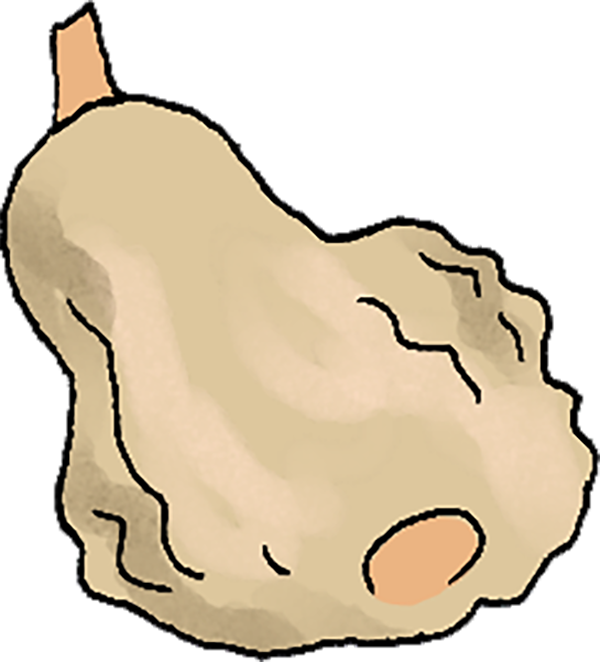 Small digital graphic of a tan winter squash, with bumpy skin.