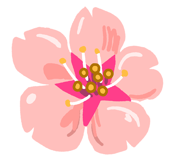 An icon of a cherry blossom flower.