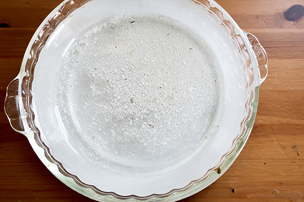 Sugar Shake Mite Test for Bees – count the mites