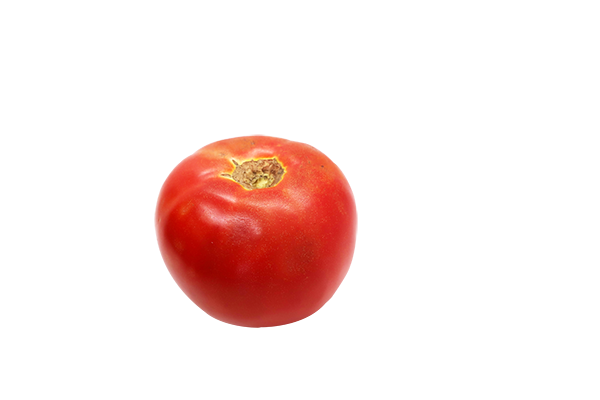 Red tomato