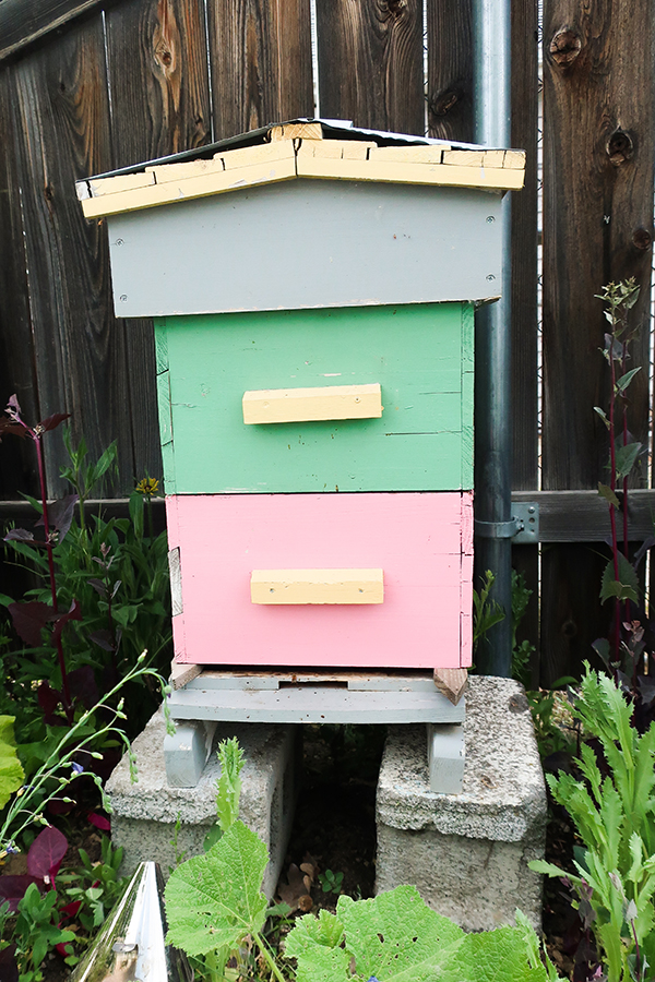 Warre Hive