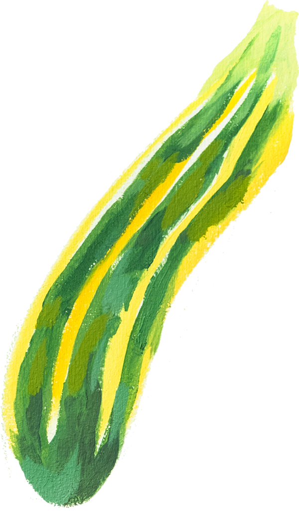 A variety of zucchini with dark green flesh and yellow ridges.