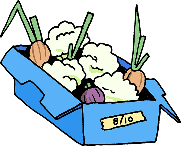 A blue crate filled with a variety of produce, including onions and cauliflower.